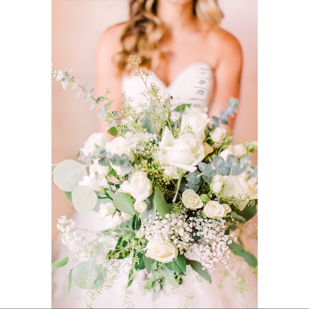 Meet your Posher, Molly